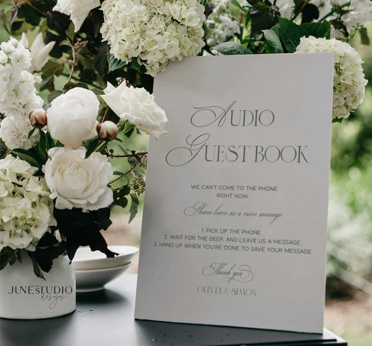 modern retro sage green audio guest book sign digital template