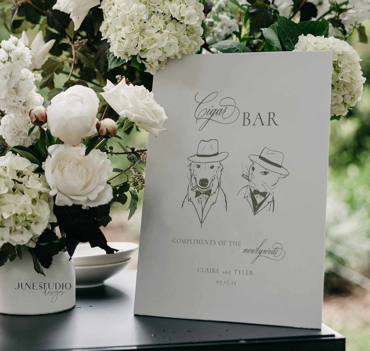 Custom Illustration and Design Service