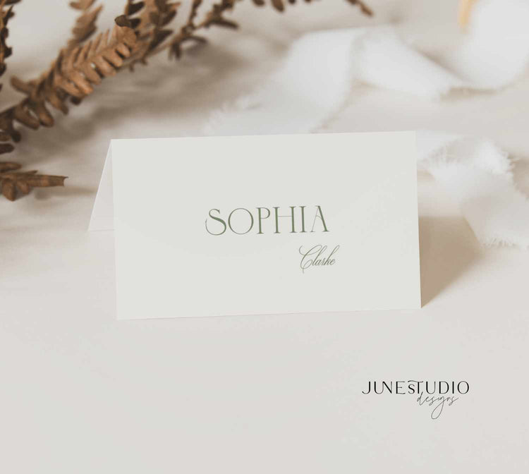 Sage Green Wedding Reception Menu and Place Card Set Template